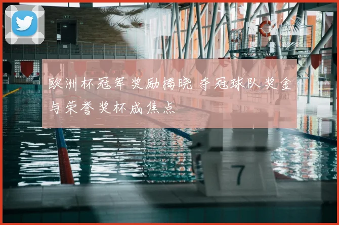 欧洲杯冠军奖励揭晓 夺冠球队奖金与荣誉奖杯成焦点