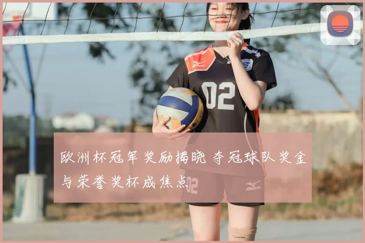 欧洲杯冠军奖励揭晓 夺冠球队奖金与荣誉奖杯成焦点