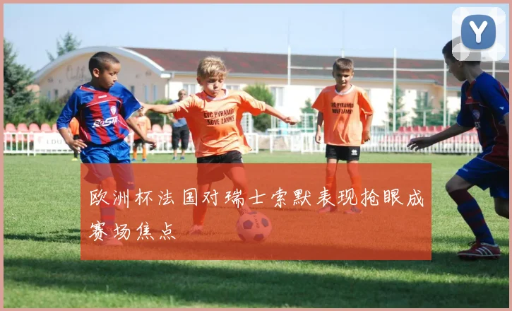 欧洲杯法国对瑞士索默表现抢眼成赛场焦点