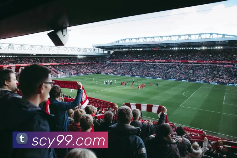 leyu网平台生态图